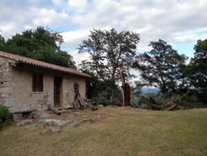 img-20250709-wa0003-2